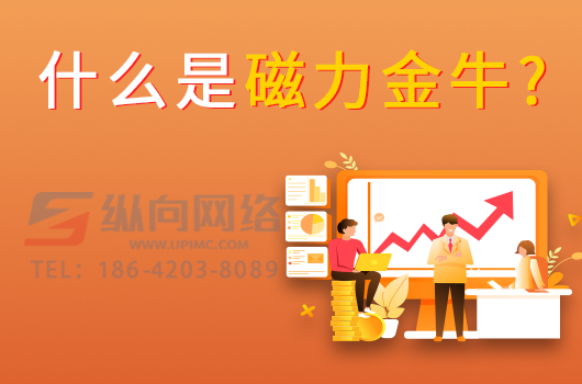 什么是磁力金牛.png