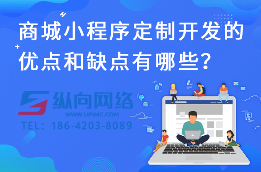商城小程序定制开发的优点和缺点有哪些？